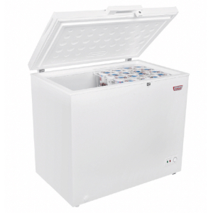 Congelador t dura 251 L Maigas